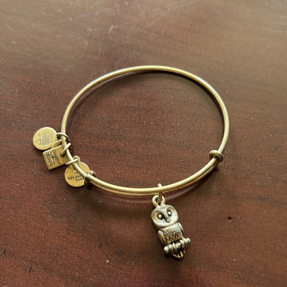 Alex and Ani, RARE Rafaellian gold owl, expandable bangle - Picture 2 of 3